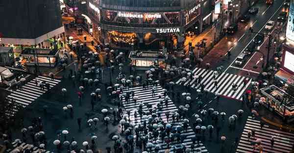 属猪2025年7月19日运势,属猪人2025年7月19日财运,生肖猪2025年7月19日运势